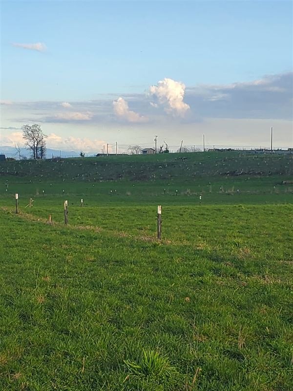 PARCELAS EN LOS BAJOS (FRUTILLAR)